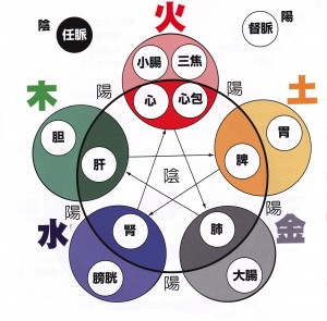 5行経絡