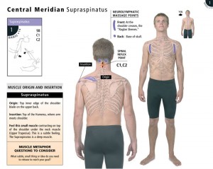 new-web-1-of-14 - Copy